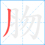 肳笔顺分解图片1