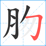 肳笔顺分解图片6