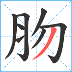 肳笔顺分解图片8