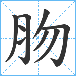 肳笔顺分解图片9