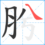 肹笔顺分解图片6