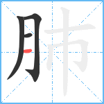 肺笔顺分解图片4