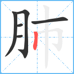 肺笔顺分解图片6