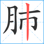 肺笔顺分解图片8