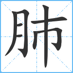 肺笔顺分解图片9