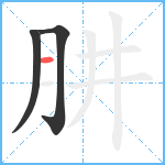 肼笔顺分解图片3