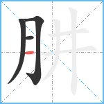 肼笔顺分解图片4