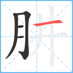 肼笔顺分解图片5