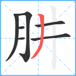 肼笔顺分解图片7