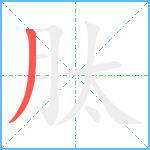 肽笔顺分解图片1