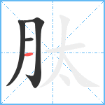 肽笔顺分解图片4