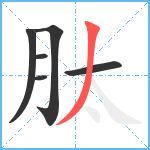 肽笔顺分解图片6