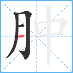 肿笔顺分解图片4