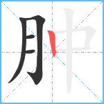 肿笔顺分解图片5