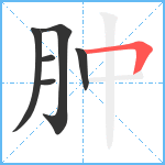 肿笔顺分解图片6