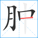 肿笔顺分解图片7