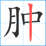 肿笔顺分解图片8