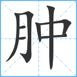 肿笔顺分解图片9