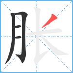 胀笔顺分解图片5