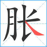 胀笔顺分解图片8