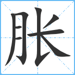 胀笔顺分解图片9