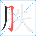 胅笔顺分解图片2