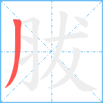 胈笔顺分解图片1