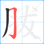 胈笔顺分解图片2