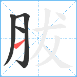 胈笔顺分解图片4