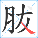 胈笔顺分解图片8