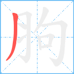 胊笔顺分解图片1