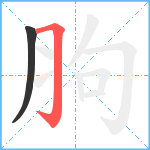 胊笔顺分解图片2