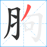 胊笔顺分解图片5