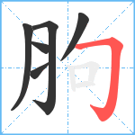 胊笔顺分解图片6