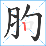 胊笔顺分解图片7