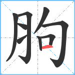 胊笔顺分解图片9