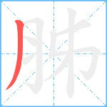 胏笔顺分解图片1