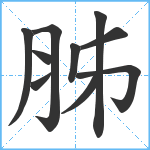 胏笔顺分解图片10