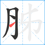 胏笔顺分解图片4