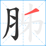 胏笔顺分解图片5