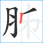 胏笔顺分解图片6