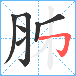 胏笔顺分解图片7