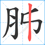 胏笔顺分解图片8