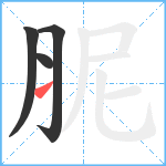 胒笔顺分解图片4