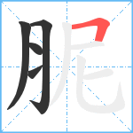 胒笔顺分解图片5