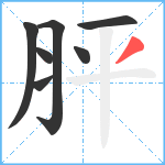 胓笔顺分解图片7