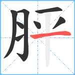 胓笔顺分解图片8