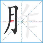 胙笔顺分解图片4