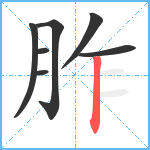 胙笔顺分解图片7