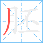 胚笔顺分解图片1